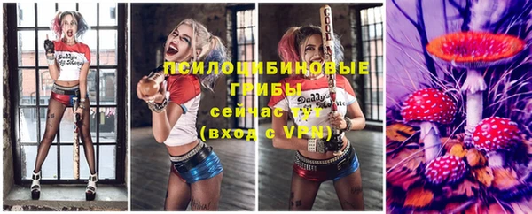 дживик Аркадак