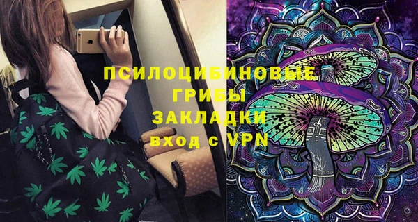 дживик Аркадак