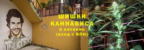 дживик Аркадак